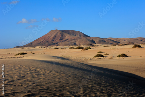 The sand dunes of Parque Natural de Corralejo Corralejo Fuerteventura Canary Islands Spain