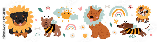 Cute pet dogs in cartoon style. Vector illustration dogs and flowers, rainbows in flat style. Festive summer dog
