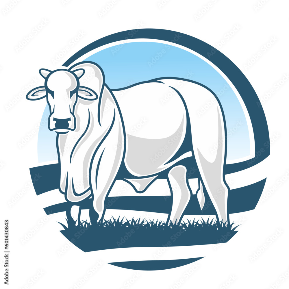 Obraz premium NELORE CIRCULO 1