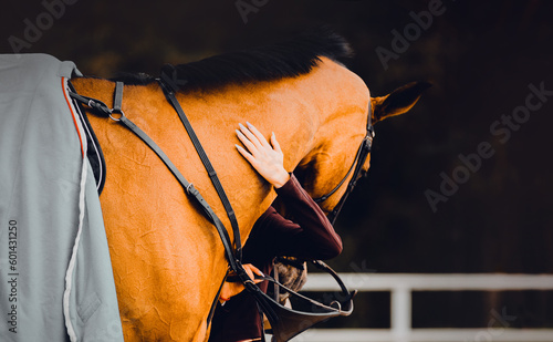 The female rider embracing bay race horse neck at an equestrian event evokes a deep bond and partnership between rider and steed. Sportsmanship, trust, and the love of animals.