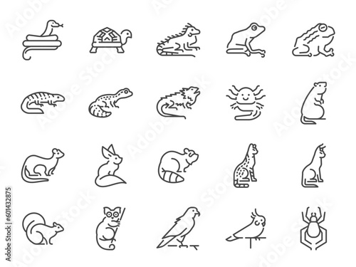 Exotic pet icon set. It included the turtle, frog, lizard, and more icons.

