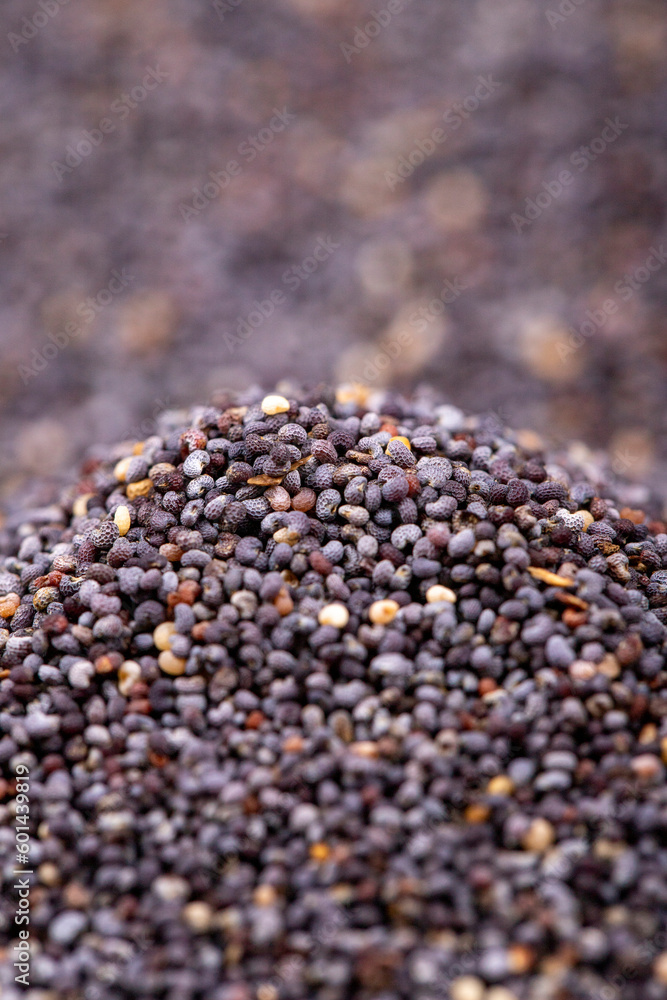 Blue poppy seeds. Spices concept. Background made of blue poppy seeds. Close up Blue poppy seeds. Spices concept. Background made of blue poppy seeds. Close up