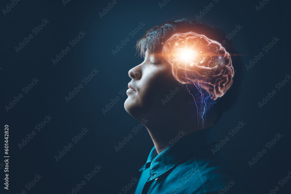 Obraz premium artificial intelligence learning.cyberspace connection brain.to the thinking brain.science human.
