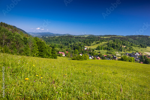 Bacówka w Jaworkach i okolice. Piękny krajobraz domów położonych w górach pośród drzew. 
