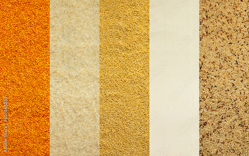 Fototapeta premium Various grain cereals banner, top view, orange lentils and white rice, couscous and semolina, brown rice