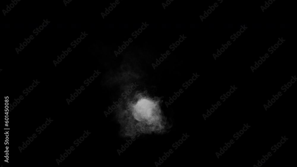 Steam release in one direction. 3d HQ animation in 4K resolution, 30fps with alpha channel (transparency). Steam release in one direction. 3d HQ animation in 4K resolution, 30fps with alpha channel (transparency).