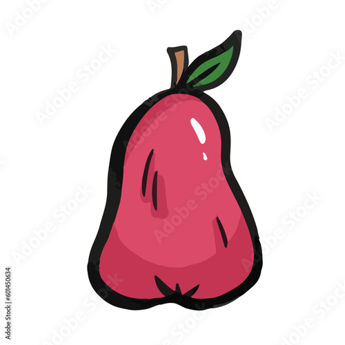 Red raw guava or jambu air fruit outlined cartoon art styled vector illustration isolated on square white background wallpaper. Healthy full colored fruit drawing with sweet taste. photo