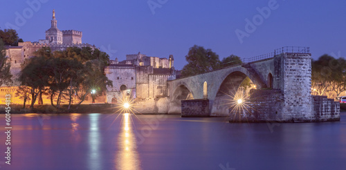 Avignon. Old medieval bridge of St. Benezet across the river Rhone. photo