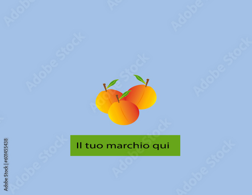 nome vezzoso per le albicocche per frutteti illustrazioni commercializzazione commercio insegna frutta e verdura negozio catena icona design photo