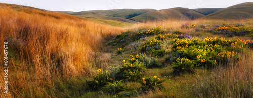 landscape with wild flowers and high grasses 