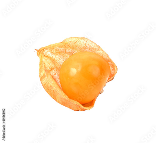 Canvastavla Cape Gooseberry with peel on transparent png