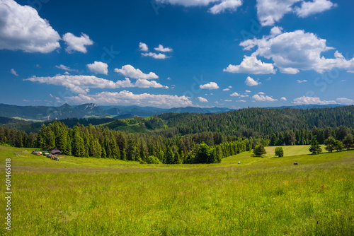 Bacówka nad Kacwinem i okolice. Piękny krajobraz pól i lasów z drewnianą chatą i górami w tle. 