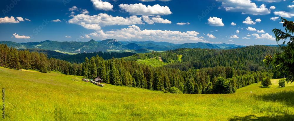Bacówka nad Kacwinem i okolice. Panorama pięknych pól i lasów na tle gór i błękitnego nieba. 