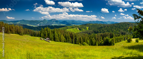 Bacówka nad Kacwinem i okolice. Panorama pięknych pól i lasów na tle gór i błękitnego nieba.  © rogozinski