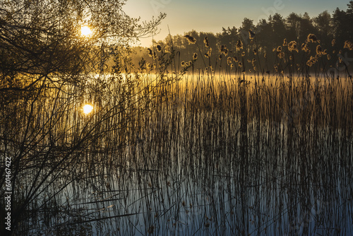 Fabulous. Lake Gowidli  skie  Kaszuby  Poland