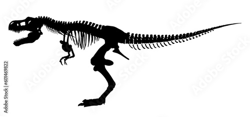T Rex Skelett