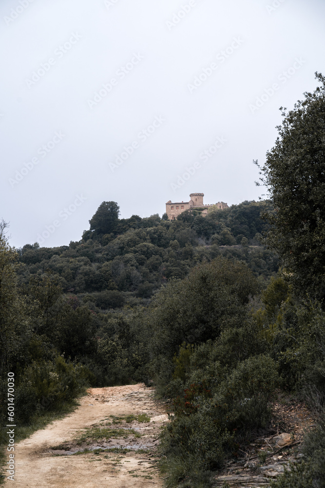 Path Leading into the Forest with Castle of El Bertí in the Background under Overcast Sky