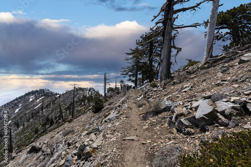 View of the Islip Saddle Tr...