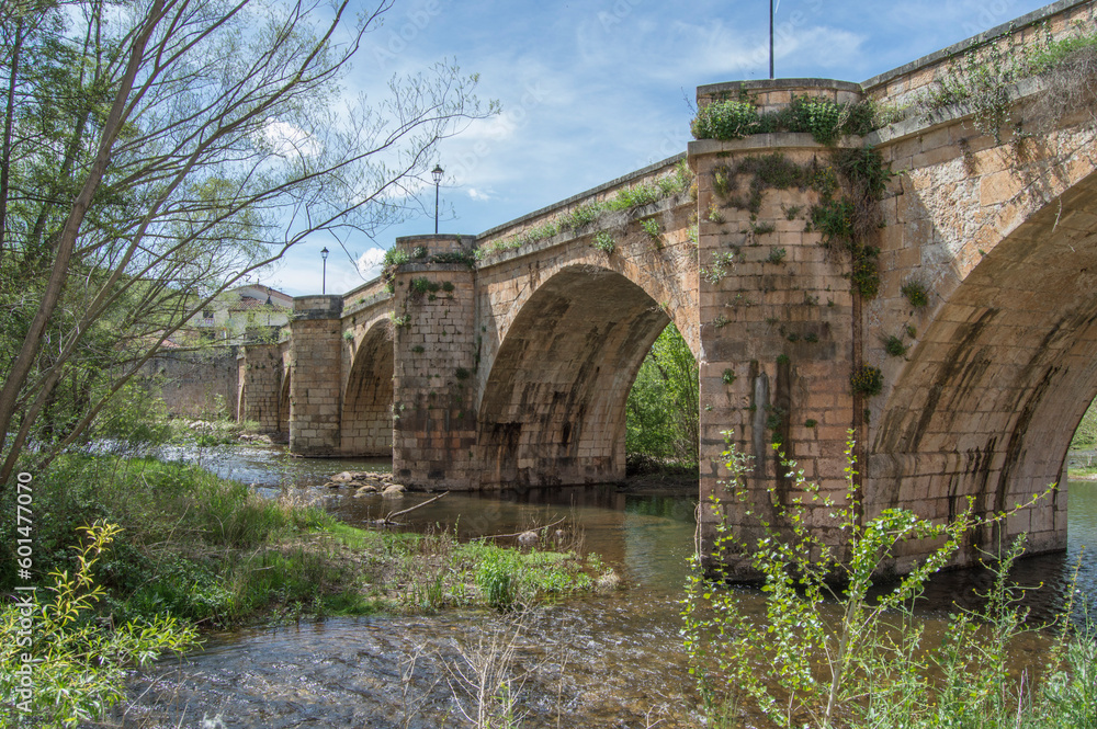 Medieval stone bridge of San Pedro over the Arlanza river in Covarrubias, Burgos province. Spain