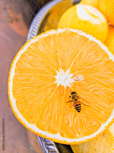 Honey bee and orange
