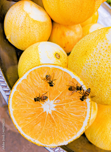 Honey bees and orange