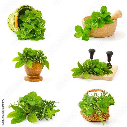 collection of freshly harvested herbs on white background