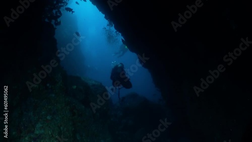Wallpaper Mural Isla Del Coco, January 4, 2018: Beautiful view of divers underwater in Isla Del Coco. Depths of oceans hold secrets and mysteries that have intrigued explorers and scientists for ages. Torontodigital.ca