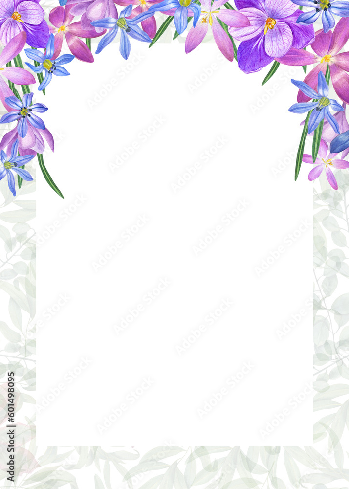 Watercolor vertical frame of crocus, scilla flowers isolated on background of green leaves. Spring illustration for the design of Valentines day, birthday, wedding postcards, invitations