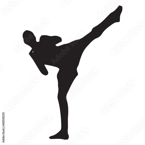 silhouette set, martial arts, jiu jitsu, karate, taekwondo, kung fu, capoeira, fight