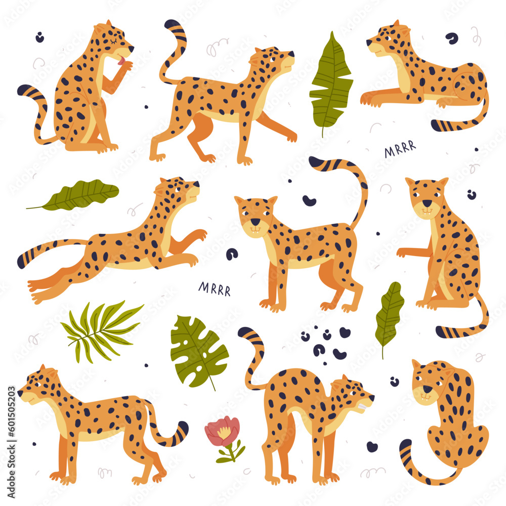 Obraz premium Cute baby leopards set. Beautiful wild predator jungle animals cartoon vector illustration