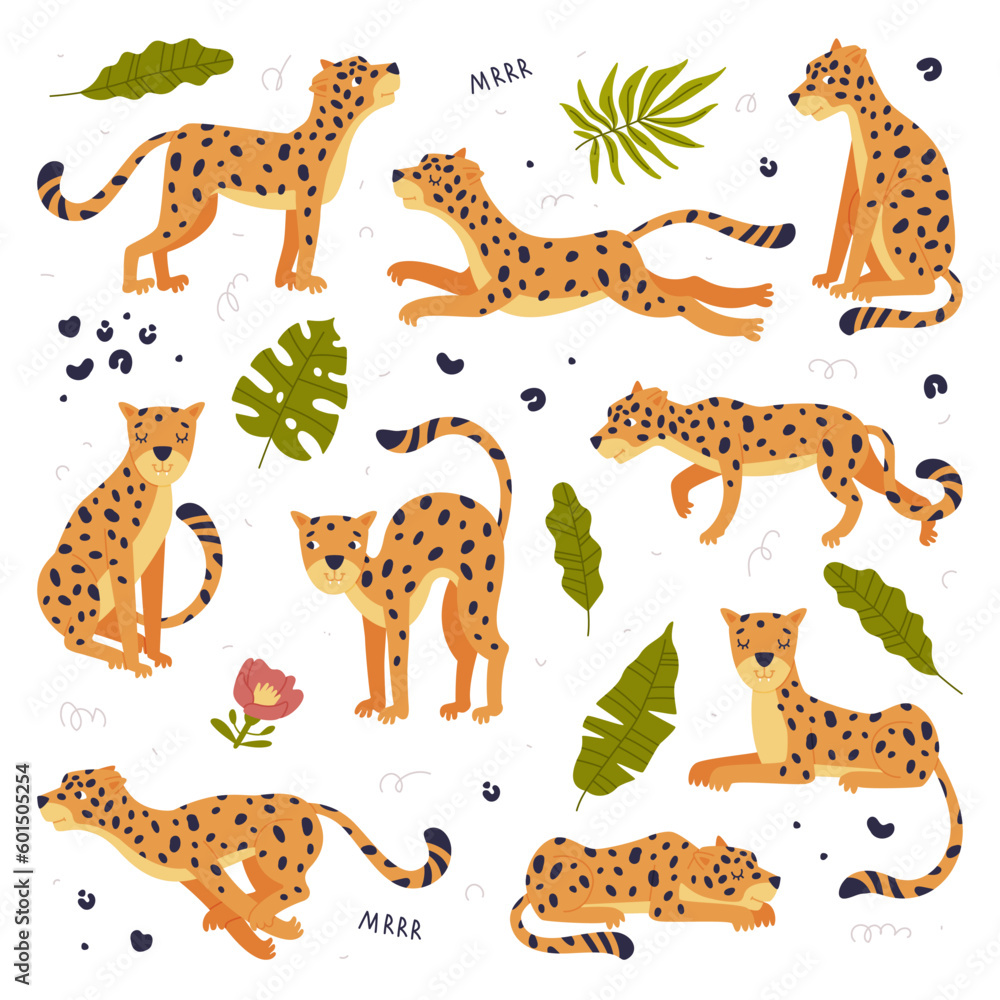 Obraz premium Cute baby leopards set. Adorable wild predator jungle animals in different poses cartoon vector illustration