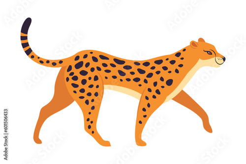 Walking Leopard as Wild Cat with Long Spotted Body Vector Illustration