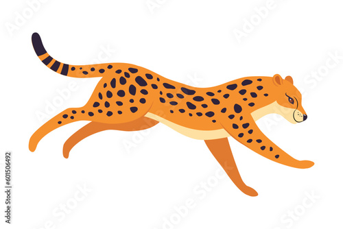 Running Leopard as Wild Cat with Long Spotted Body Vector Illustration
