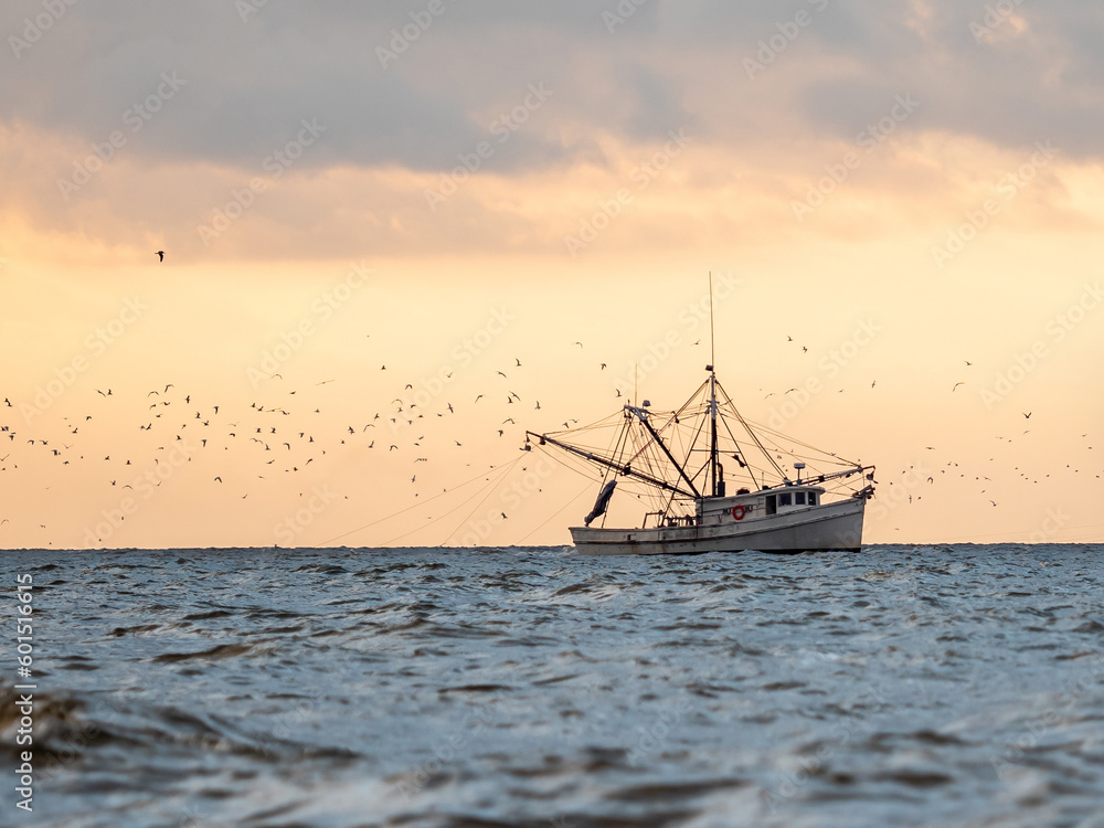 shrimp boat on the water during sunrise surrounded by birds - obrazy, fototapety, plakaty 