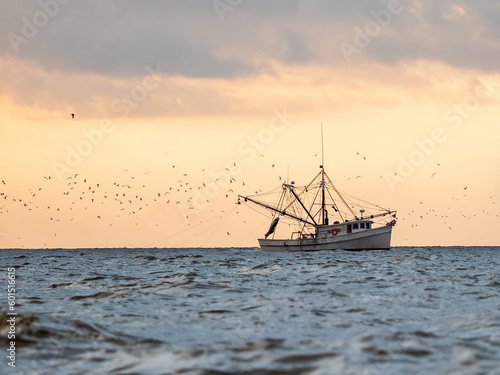 shrimp boat on the water during sunrise surrounded by birds