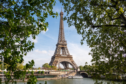 The Eiffel Tower in Paris between trees