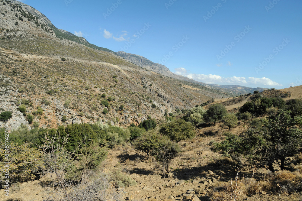 Les gorges de Vorizia près de Zaros en Crète