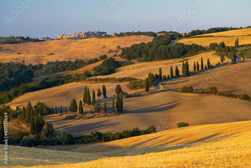 Cipressi di Monticchielo  Typical Tuscan landscape near Montepulciano  Italy
