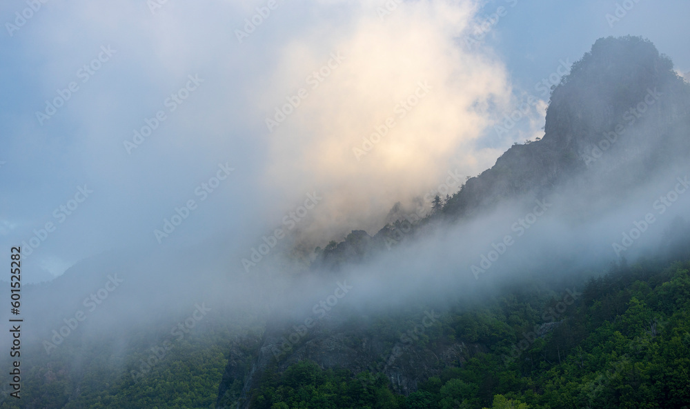 A foggy morning going through Valea Oltului in Romania