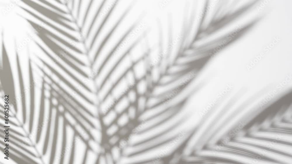Blurry tropical background made with palm leaves tree branch shadow falling on white wall, swaying in the sea breeze. Minimal scene with summer tune.