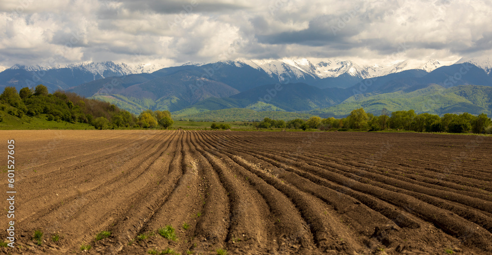 Plowed field with a curve