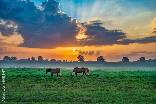 Horses in pasture at sunrise. The sun is on the horizon and sunbeams shoot through the clouds. Fog is in the valley in the distance. Surreal and peaceful.
