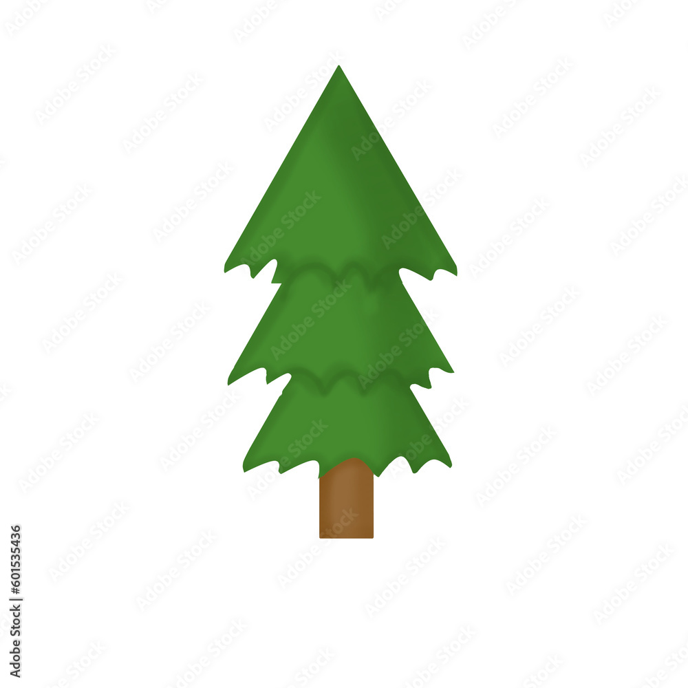 Fototapeta premium Pine tree isolated on white background 