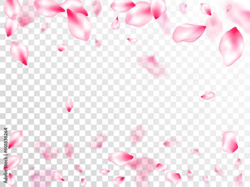 Spring blossom isolated petals flying Spring blossom isolated petals flying
