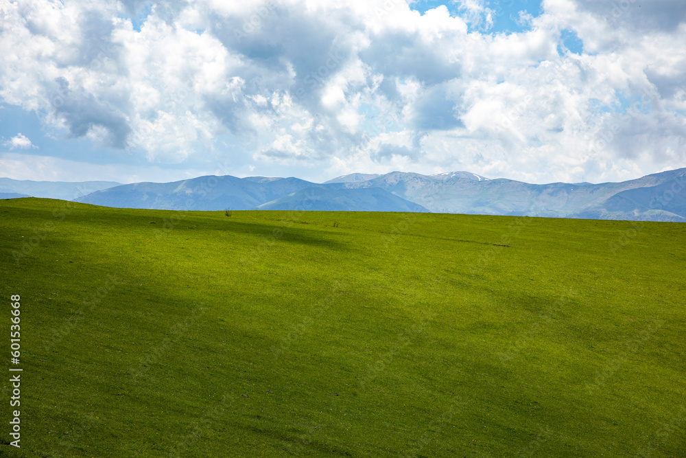 summer mountains green grass and blue sky landscape summer mountains green grass and blue sky landscape