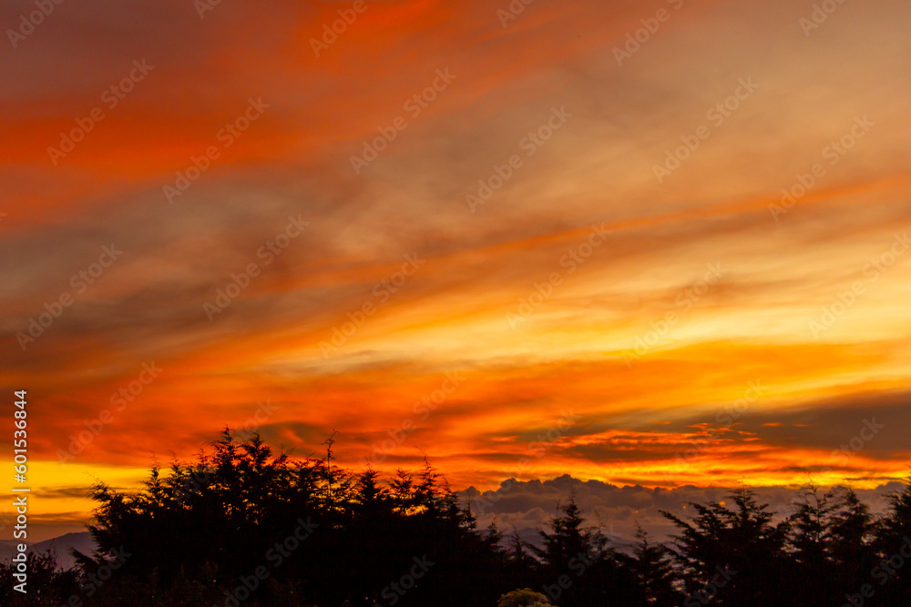 Fototapeta premium ENTARDECER