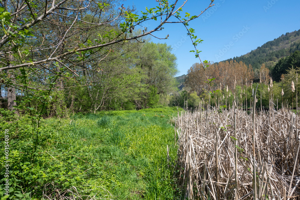 Spring Landscape of Iskar river near Pancharevo lake, Bulgaria Spring Landscape of Iskar river near Pancharevo lake, Bulgaria