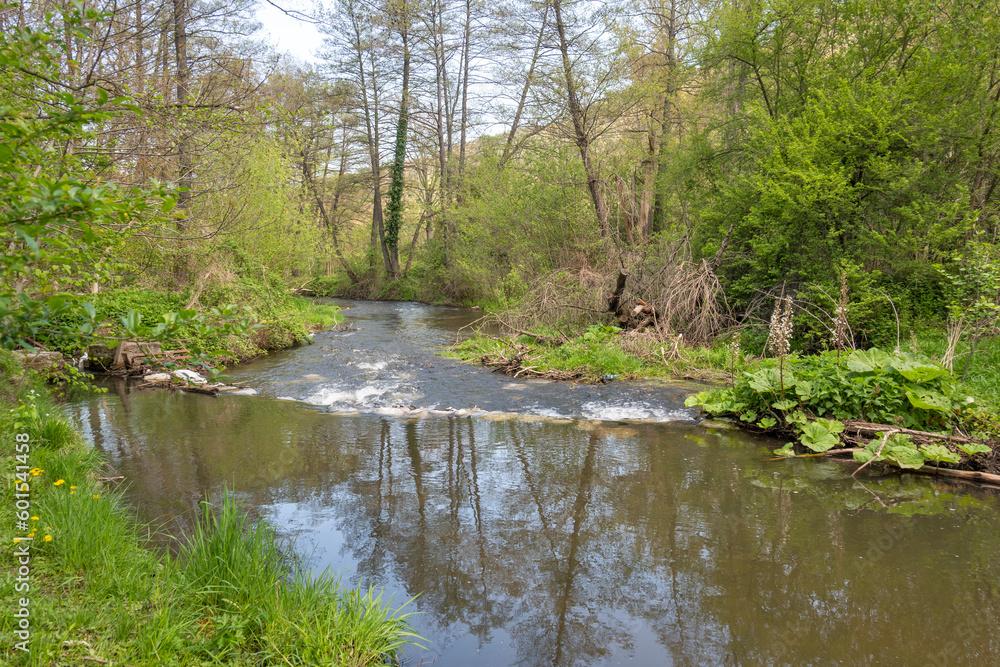 Fototapeta premium Spring Landscape of Iskar river near Pancharevo lake, Bulgaria