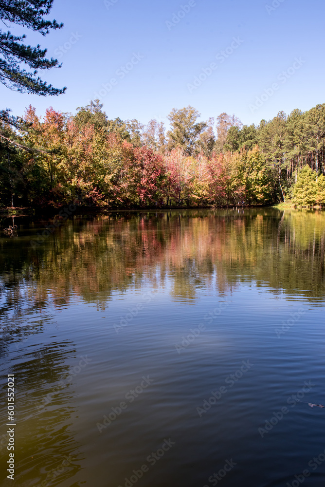 Trees reflecting off a lake in southern Brazil, autumn season