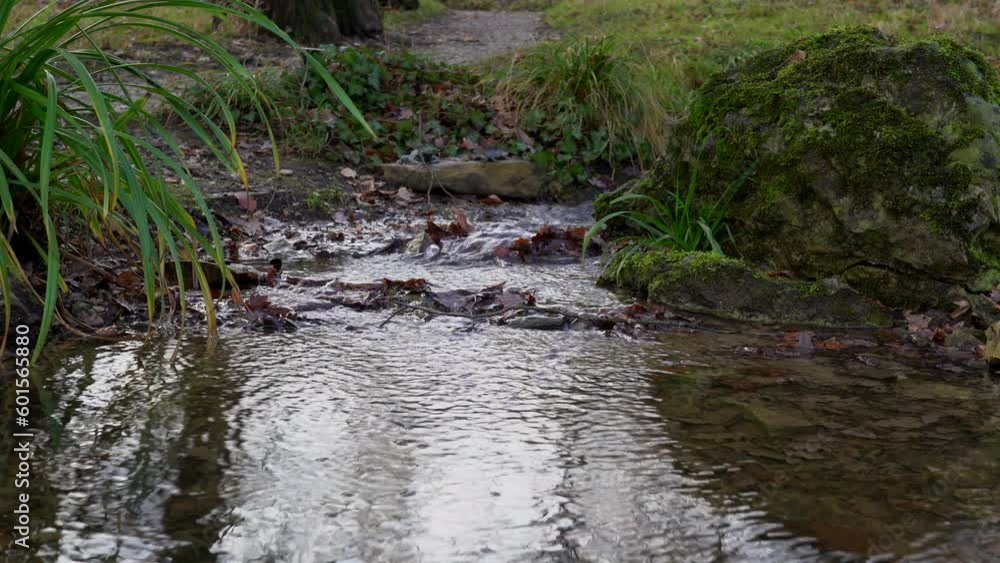 Small stream flows through a park Small stream flows through a park